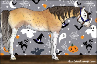 Horse Color:Buckskin Onyx Splash 