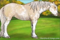 Horse Color:Silver Brown Pearl Dun Sabino 