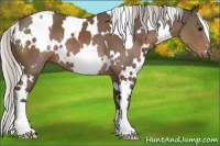 Horse Color:White Spotted Silver Black 