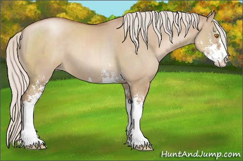 Horse Color:Silver Grullo Pearl Sabino 