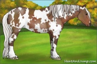 Horse Color:White Spotted Silver Black 