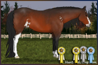 Horse Color:Gray Brown Sabino 