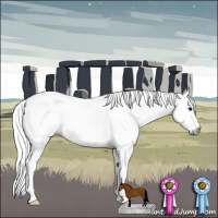 Horse Color:Gray Bay Sabino