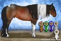 Horse Color:Gray Brown Tobiano Rabicano