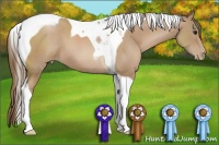 Horse Color:Black Pearl Tobiano 