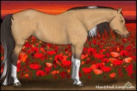 Horse Color:Buckskin Dun Tobiano