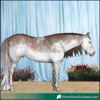 Horse Color:Platinum White Spotted Chocolate Buckskin Dun Mushroom Splash Tobiano  and White Spotted Chocolate Brown Dun Mushroom Sabino Splash Rabicano 