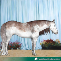 Horse Color:Platinum White Spotted Chocolate Buckskin Dun Mushroom Splash Tobiano and White Spotted Chocolate Brown Dun Mushroom Sabino Splash Rabicano