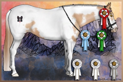 Horse Color:White Spotted Bay Pearl Tobiano Frame 