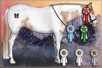 Horse Color:White Spotted Bay Pearl Tobiano Frame 