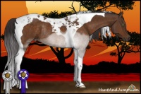 Horse Color:Buckskin Tobiano Rabicano