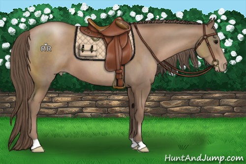 Horse Color:Black Pearl