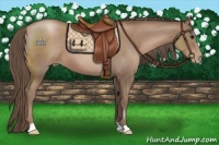 Horse Color:Black Pearl 
