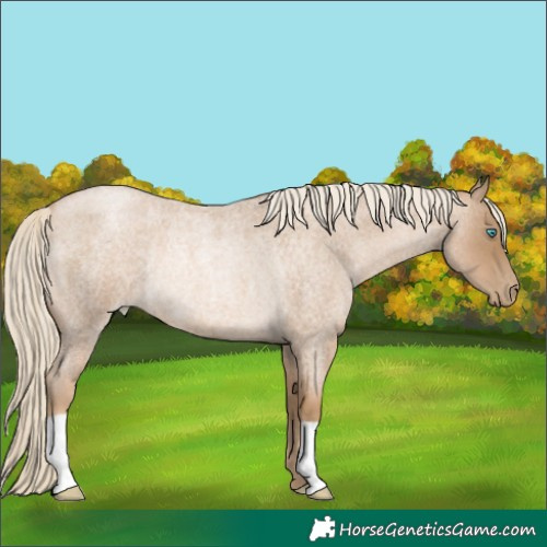 Horse Color:Chocolate Palomino Roan Pearl Rabicano