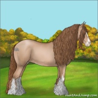 Horse Color:Liver Chestnut Pearl Sabino 