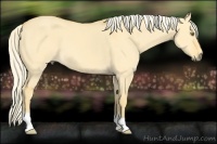 Horse Color:Palomino Dun