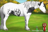 Horse Color:Black Splash Tobiano Appaloosa 
