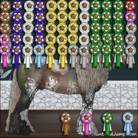 Horse Color:Gray White Spotted Silver Black Sabino