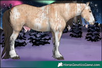 Horse Color:Bay Dun Sabino  and Bay Dun Sabino 