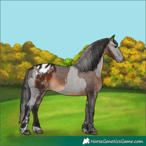 Horse Color:Grullo Varnish and Gray Bay Varnish