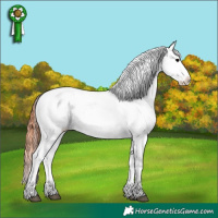 Horse Color:Bay Onyx Tobiano Blanket Rabicano 