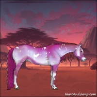 Horse Color:Watercolor White Spotted Liver Red Onyx