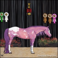 Horse Color:Watercolor White Spotted Brown Pearl Snowcap 