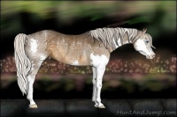 Horse Color:Silver Smoky Black Splash Rabicano 