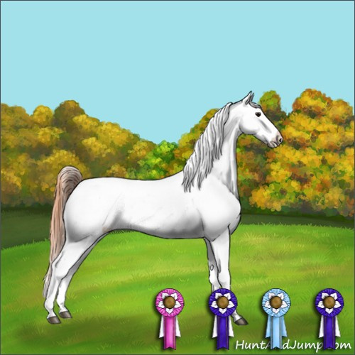 Horse Color:Bay Blanket Rabicano  and Bay Dun Snowcap 