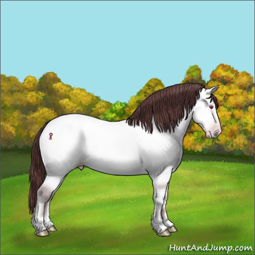 Horse Color:Chocolate Amber Cream Champagne Chinchilla Onyx Rabicano