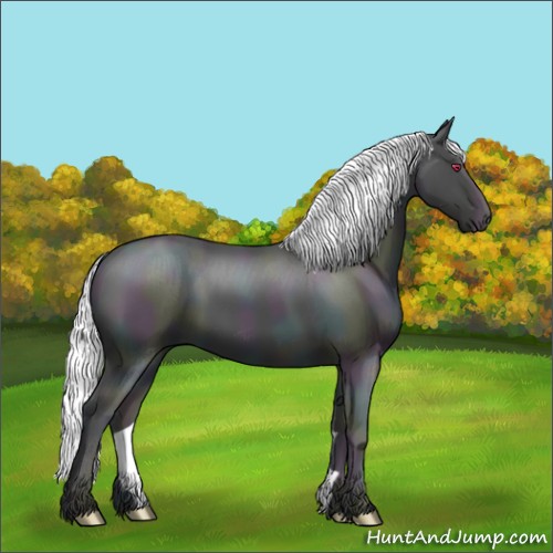 Horse Color:Midnight Classic Cream Champagne Chinchilla Pearl