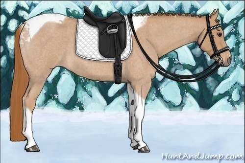 Horse Color:Red Roan Tobiano 