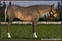 Horse Color:Silver Smoky Black Rabicano