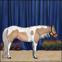 Horse Color:Silver Bay Dun Tobiano 