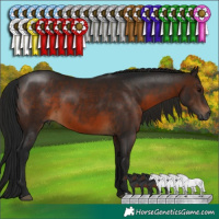 Horse Color:Gray Brown