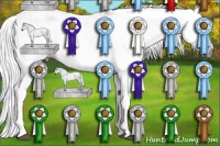 Horse Color:Gray Brown
