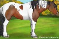 Horse Color:Bay Tobiano 