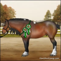 Horse Color:Bay Tobiano Rabicano