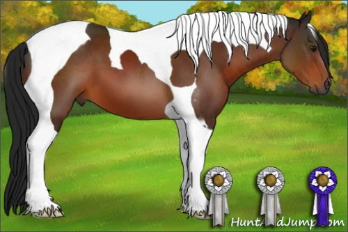 Horse Color:Gray Brown Tobiano 