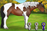 Horse Color:Gray Brown Tobiano 