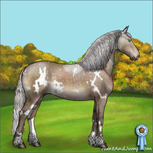 Horse Color:White Spotted Silver Brown Dun Mushroom Brindle 