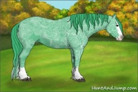 Horse Color:Watercolor Blue Ice Roan Splash