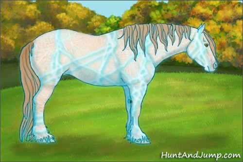 Horse Color:Thunderstruck Gold Champagne Ice Dun