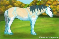 Horse Color:Thunderstruck Buckskin Ice Splash 