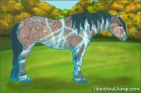 Horse Color:Thunderstruck Bay Ice Sabino 