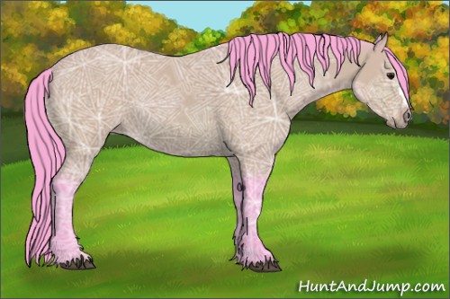 Horse Color:Watercolor Bay Ice 