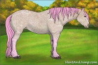 Horse Color:Watercolor Bay Ice 