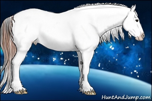 Horse Color:Grullo Leopard 