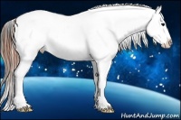 Horse Color:Grullo Appaloosa 