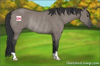 Horse Color:Grullo Rabicano